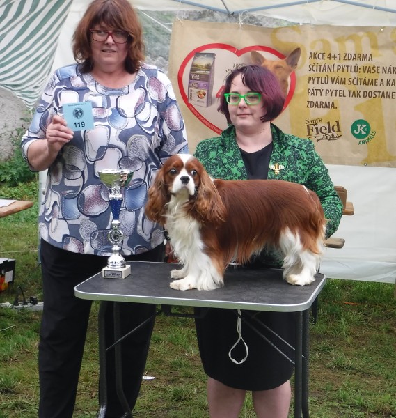 KV 2020-I, 11.7.2020, Městec Králové